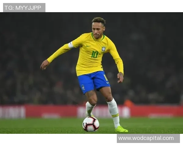 巴西上届足球明星的辉煌成就与未来展望分析