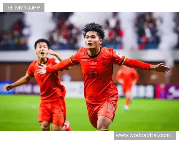 深圳足球队在世界杯预选赛中的团队协作表现分析与点评