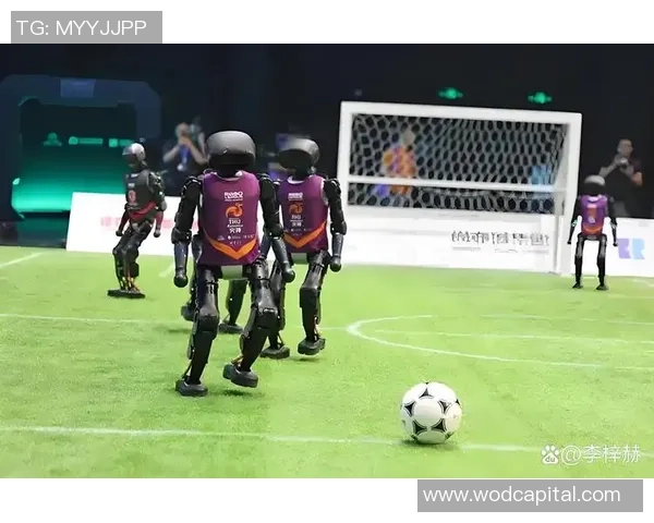 节约足球明星的智慧与奉献精神在绿茵场上的闪耀时刻