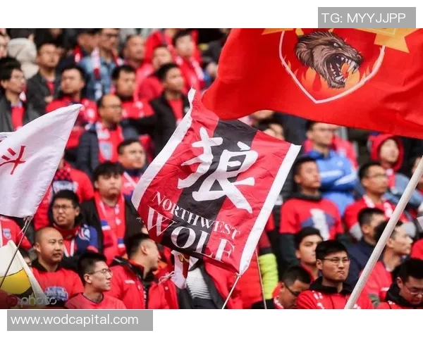 赛后分析:西安足球队与武汉足球队的战术对决与技术细节探讨