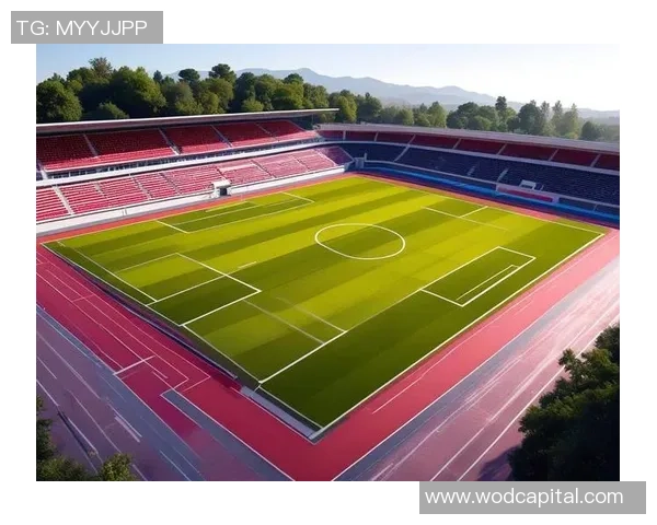 足球新手必看：从零基础到场上高手的全面入门指南